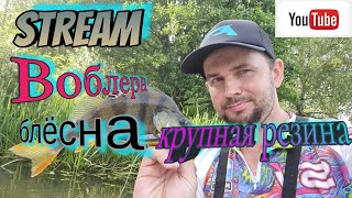 stream | как и на что ловить в +50 | копия vs оригинал | рюкзак спиннингиста