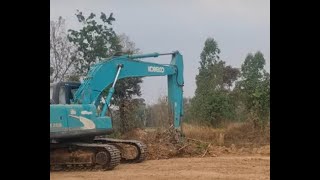 Clearing Eucalyptus trees are super hard to remove but we can do it