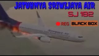 JATUHNYA PESAWAT SRIWIJAYA AIR SJ 182 (SIMULASI)