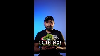 10 Things about Hydroponic Farming