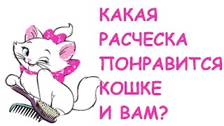 Какую расческу для кота выбрать?