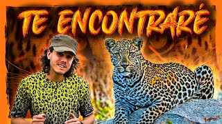 🐆 LEOPARDO en ACCIÓN en MASAI MARA | Safari Fotográfico en KENIA #2