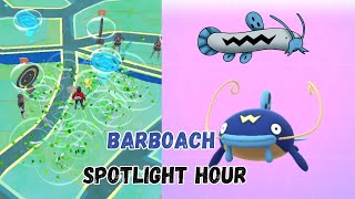 Barboach spotlight hour & Evolve #spotlighthour #evolve #whiscash #pokemongo #pokemon