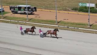 Warragul harness trial Mon Feb 19 2024