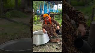 beautiful girl picking fresh damson and apricot for making sauce || village farm#shortvideo #shorts