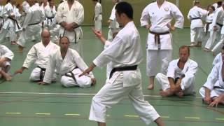 Yamaguchi-sensei demonstrates kata hangetsu