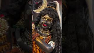 राधा मोहन शरणम् सत्यम् शिवम् सुन्दरम्#ytshort #shortsfeed #shortsviral #Krishna#popular #shorts