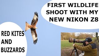 FIRST WILDLIFE PHOTOGRAPHY SHOOT WITH MY NEW NIKON Z8