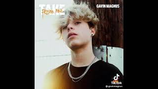 gavin maguns- take from me