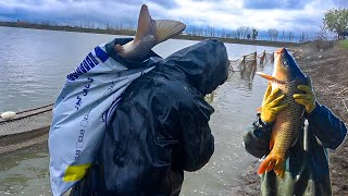 A unique experience of fishing in the wetlands of northern Iran