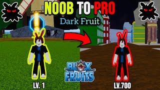 Reworked Dark Fruit update 17.3 Level 1 to 700 by using Dark Fruit #darkfruit #bloxfruits #roblox