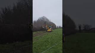 Major Hedge cutting head in 3 years growth