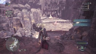 Monster Hunter World High Rank [PS4 GER]