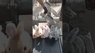 AMAZING TOY RABBIT VERY CUTE #asmr #toys #beautiful #cute #shorts