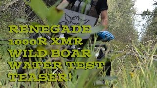 Can-am Renegade XMR 1000R Wild Boar Water Test Teaser!