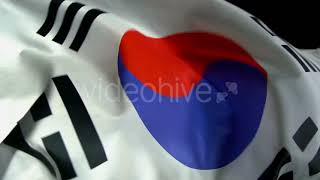 South Korea Flag | Stock Footage - Envato elements