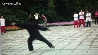 Gong Bao Tian Bagua 宫寶田八卦掌 - Connected Palms by Master Sun Jia Min