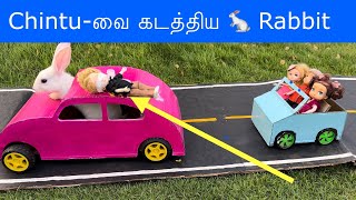 மண்வாசனை Episode 885 | Chintu-வை கடத்திய Rabbit 🐇🐰 | Classic Mini Food | Chutti Bommma