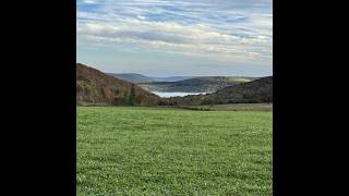 The finger lakes trail Taylor valley #hiking #mountains #newyork #nature #backpacking #viralshorts