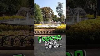 Одесса. Горсад-сердце города short #shorts