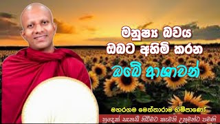 ven.Maharagama Meththarama thero#jethavanaramaya#pahura#bana