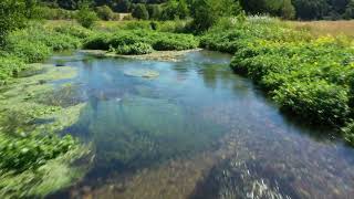 Introducing Archers Green Nature Reserve