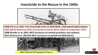 Western Corn Rootworm Biology and Resistance Management- Dr. Joseph Spencer