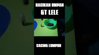 galatama lele || umpan simpel udah pasti lele doyan