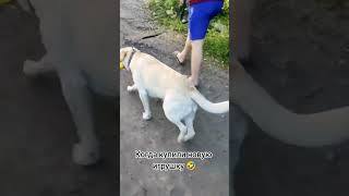 Что вы знаете о счастье?