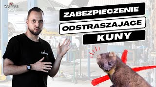 JAK ZABEZPIECZYĆ AUTO PRZED KUNAMI? ODSTRASZACZE SAMOCHODOWE NA KUNY