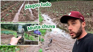 DIA DE CHUVA NO RANCHO/AS CHUVAS VOLTARAM COM FORÇA/ALAGOU AS ROÇAS/MUITA ÁGUA