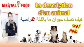 تعلم كيف تصف حيوان ما باللغة الفرنسية Décrire un animal en français