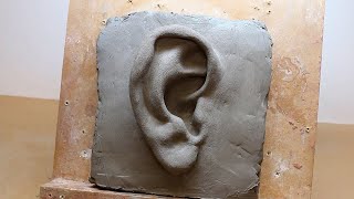 Learn Online Trailer - Anatomy Sculpture - The Ear