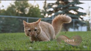 Wild Rose Vet Season 2 WEBISODE: Louis