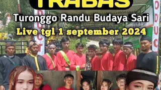 tari jantur kembang EBEG RANDU BUDAYA SARI LIVE DESA KEDUNG RANDU