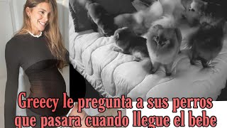 Greeicy le advierte a sus perros que se irán cuando llegue el bebe