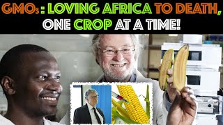 GMOs: Loving Africa To DEATH, One Crop At A Time