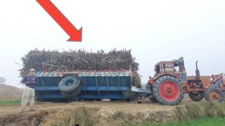 A trolley full of sugarcane overturned with Russi tractor due to the rough road