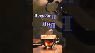 Доброе утро, хорошего дня!