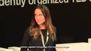 Space and gold, or a choise rule | Ekaterina Starchenko | TEDxSibFU