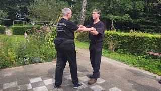 Lesson Push Hands Workshop 3 - August - 2024 - Tom Vrieling STN