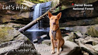 Dog "Slobber" Falls & The Cumberland River - Daniel Boone National Forest - Kentucky - 11/14/23