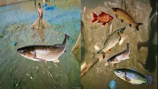 Viral Sensation: Mind-Blowing Fishing Experience You Can't Miss! 🌊🐟🔥