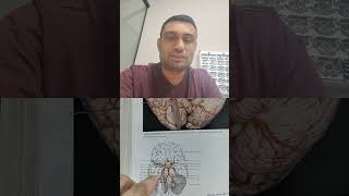 bleeding in the brain- stroke ,sadguru ji ,isha foundation