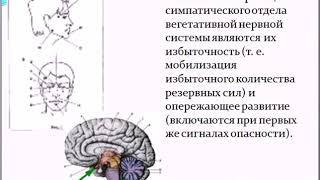 Лекция «Саморегуляция вегетативных функций»