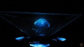 3D Hologram Projector DIY