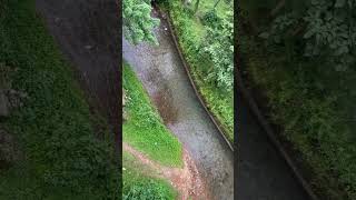 South Goa💚#ytshorts #Goa #south #music #greenery #trees #waterflow #water #bridge #trending #nature