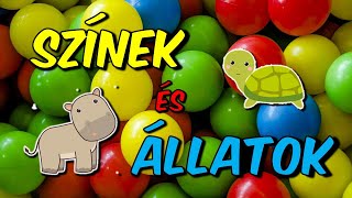 Színek tanulása, állatok segítségével😊🌈Fejlesztő videó📢