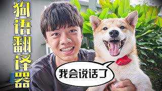 【开箱】我的狗竟然会说话了?!?!它还对我说我爱你....DOG TRANSLATOR