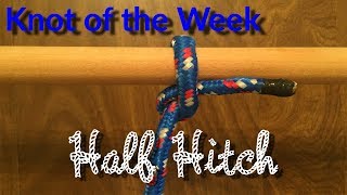 Half Hitch - Knot of the Week